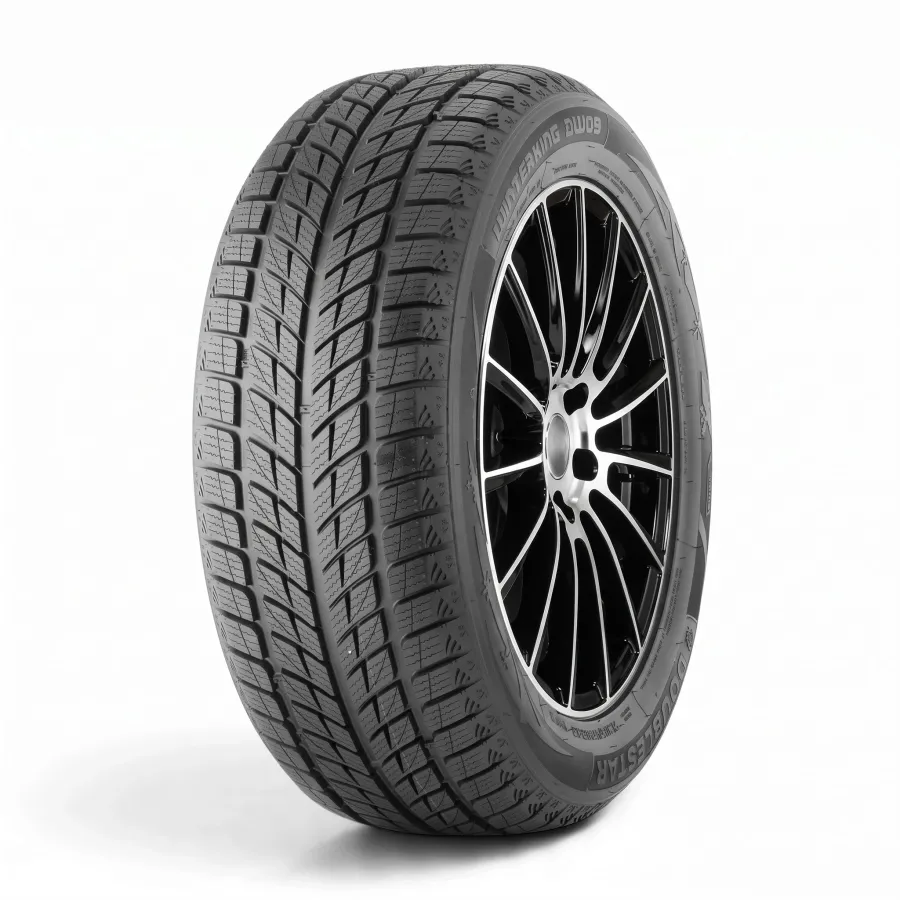 Ziemas riepas 245/45R18 DOUBLESTAR DW09 96T
