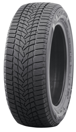 NANKANG ICE-2 225/55R18 102T