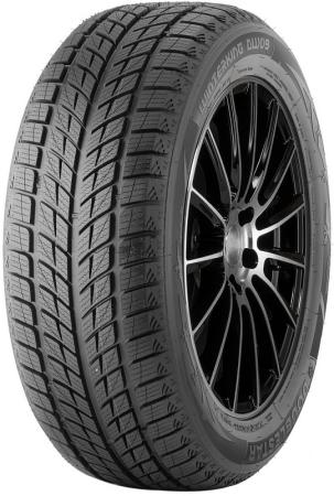 DOUBLESTAR DW09 245/40R18 93H