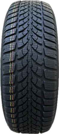 DIPLOMAT WINTER HP 205/55R16 91T